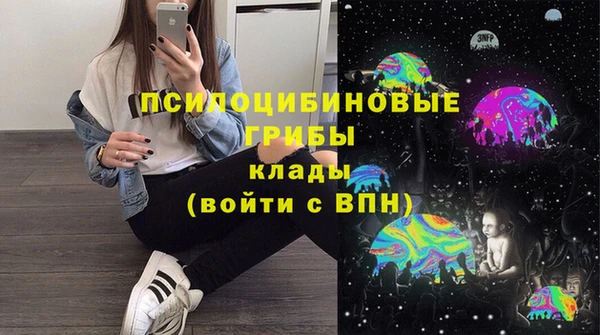 гашик Алексеевка