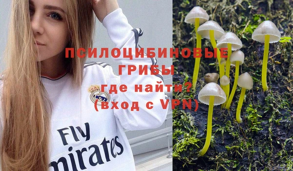 прущая мука Алексин