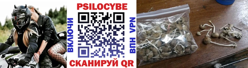 Псилоцибиновые грибы Psilocybe  ОМГ ОМГ ссылка  Ревда  где можно купить  