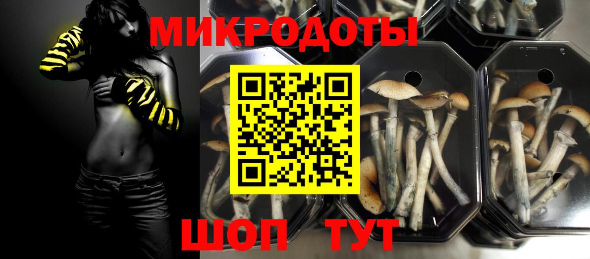 Галлюциногенные грибы прущие грибы  купить закладку  Ревда  Вход с VPN 